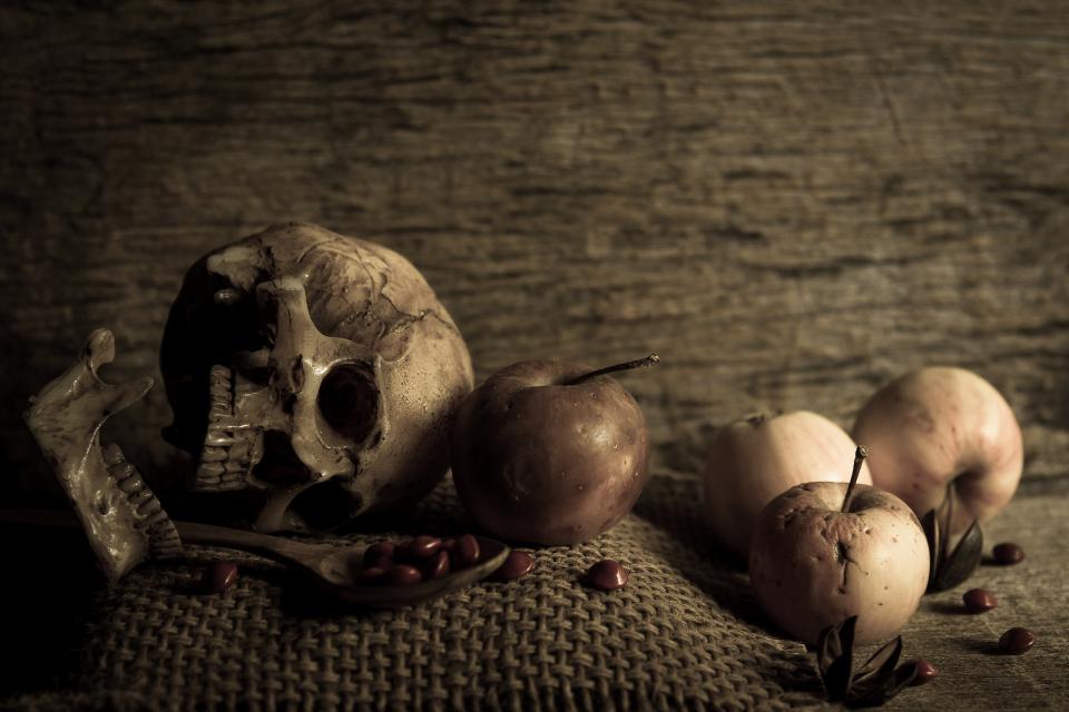 Skull Art