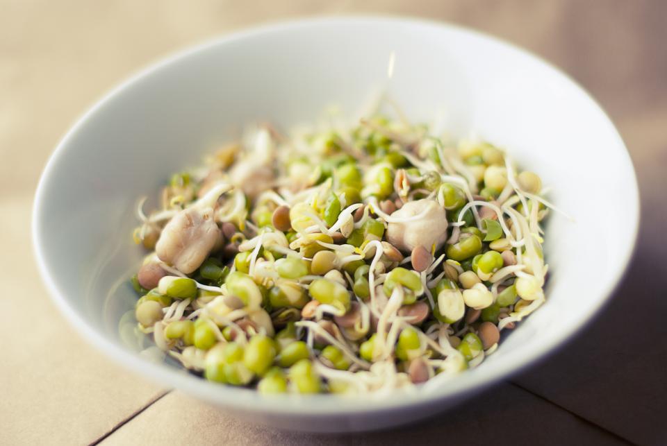 Soybeans Sprouts
