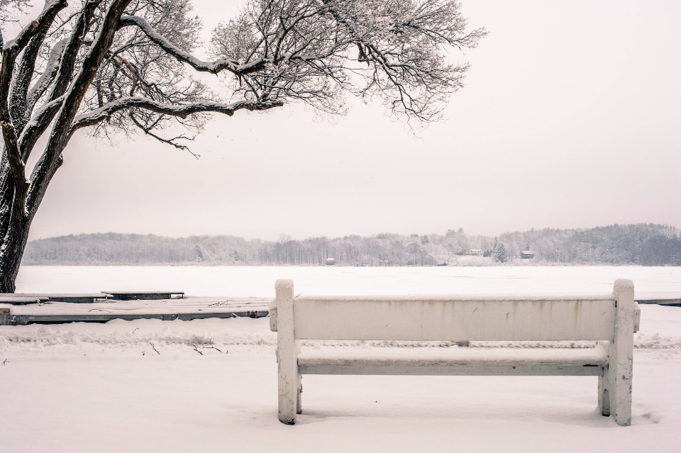 Snow Bench