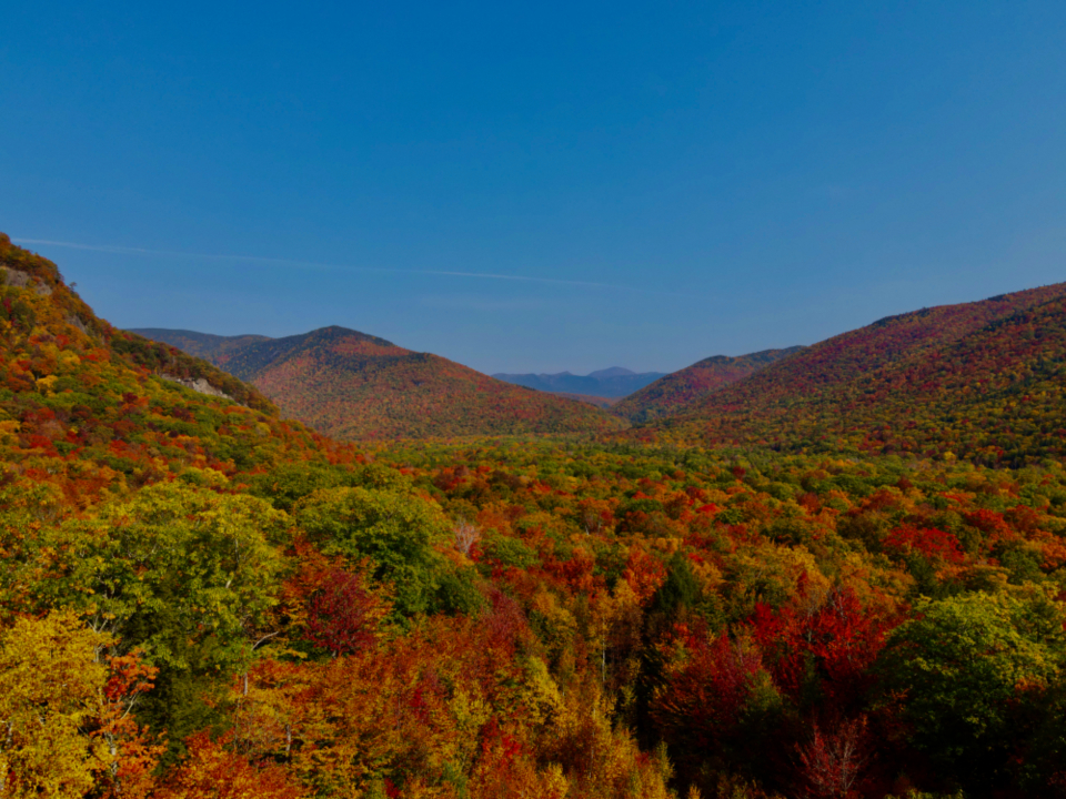 Autumn Mountain