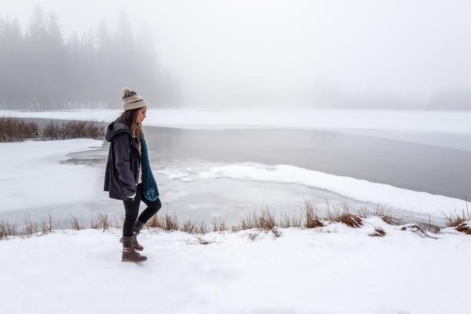 Snow Winter