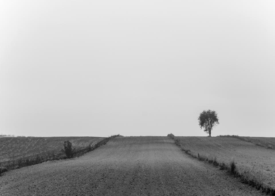 Rural Countryside