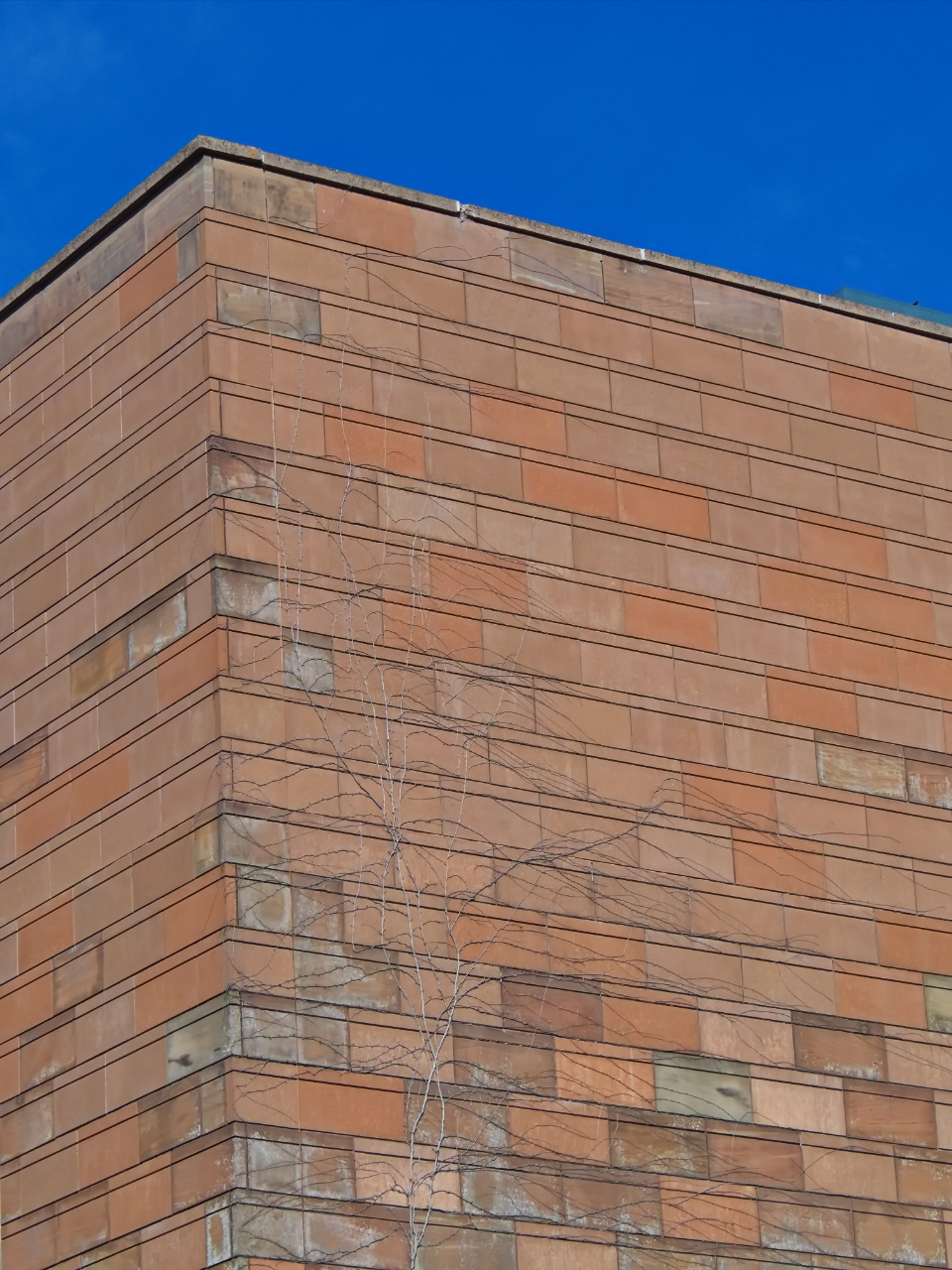 Brick Wall