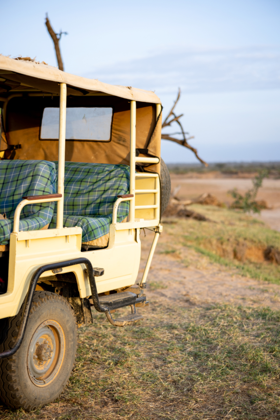 Safari Adventure