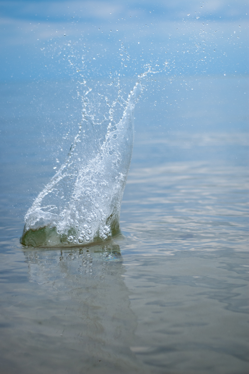Water Splash