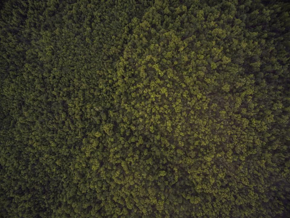 Nature Landscape