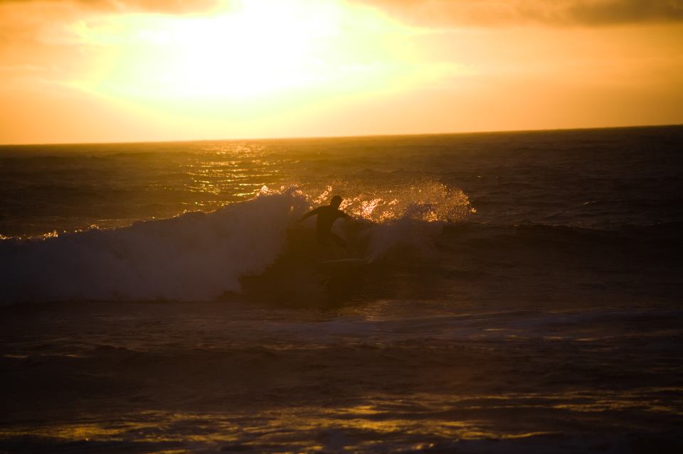 Surfer Wave