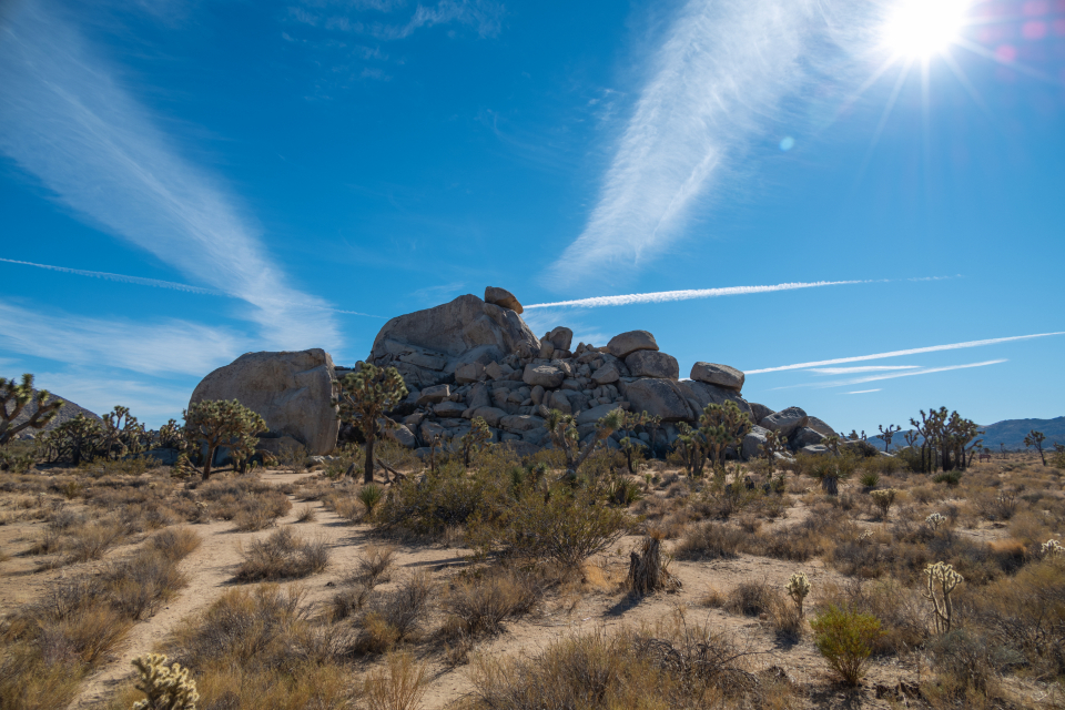Rocky Landscape