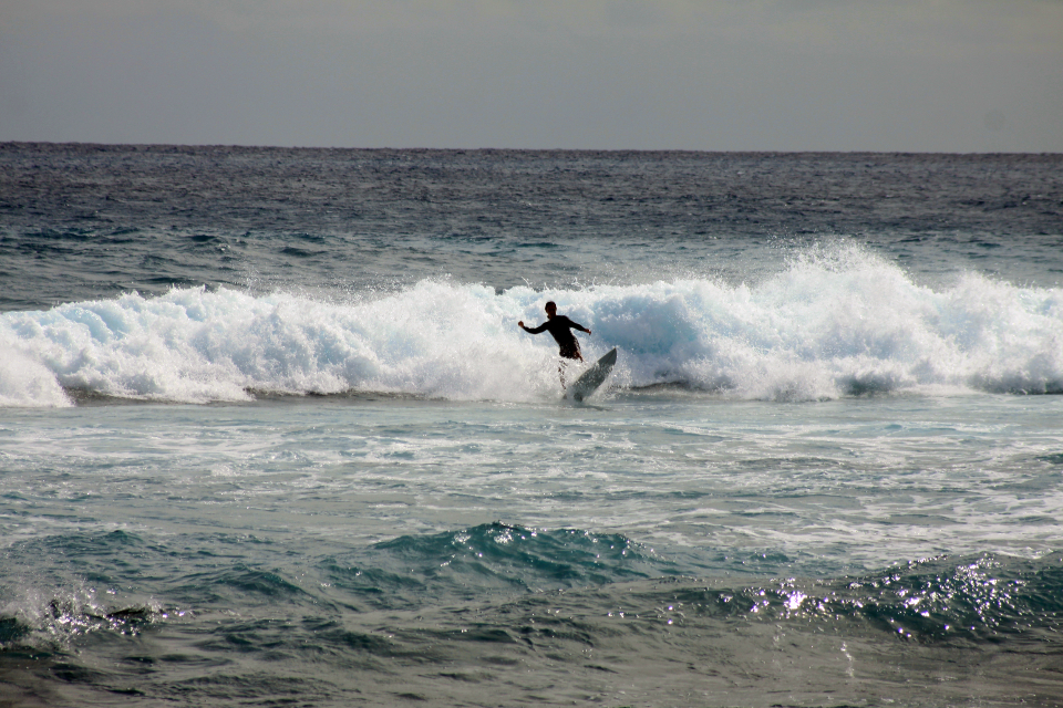 Surfer Wave