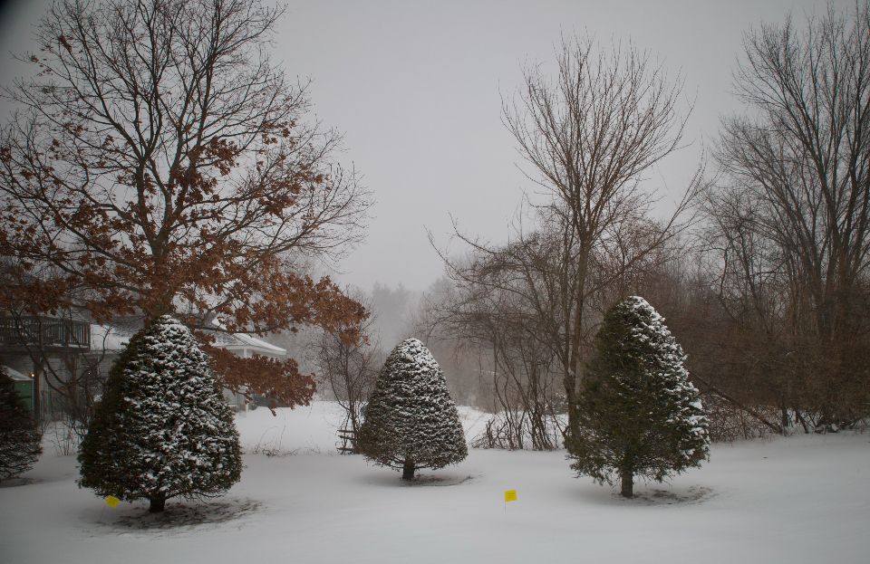 Winter Landscape