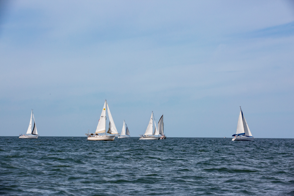 Sail Boats Salt Life