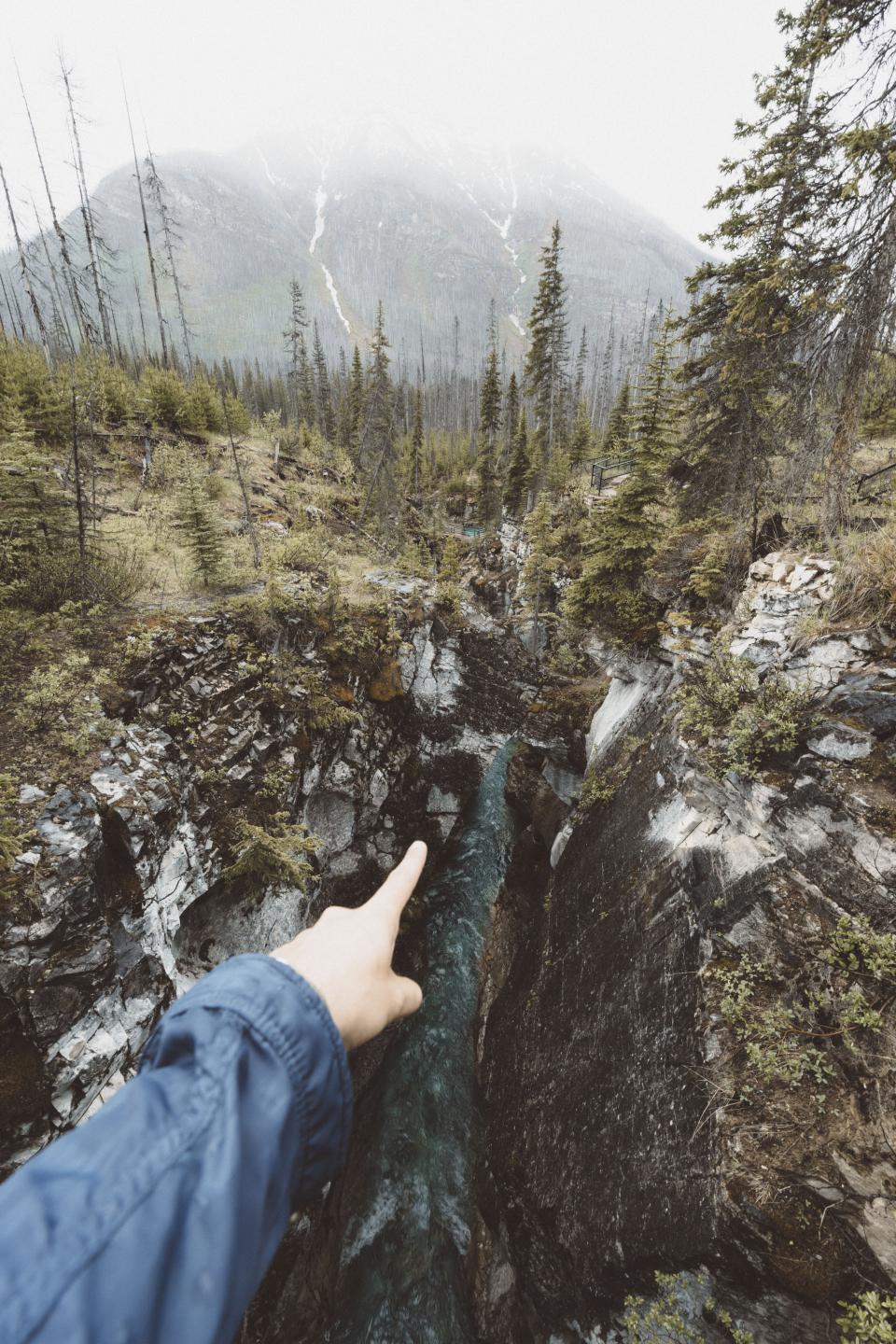 Nature People
