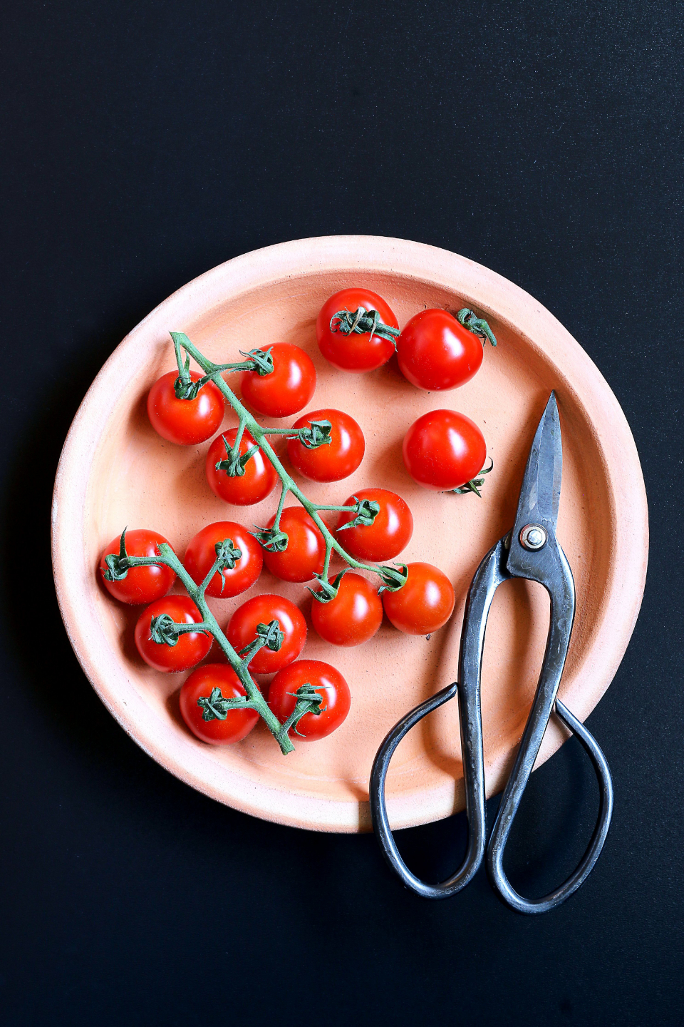 Plate Flat Lay