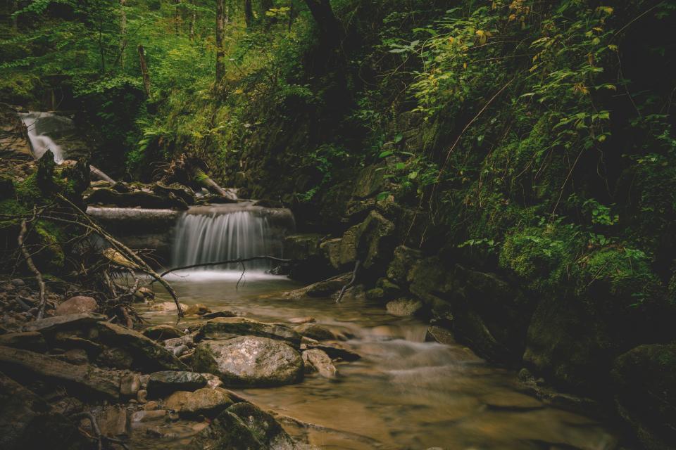 Stream Water
