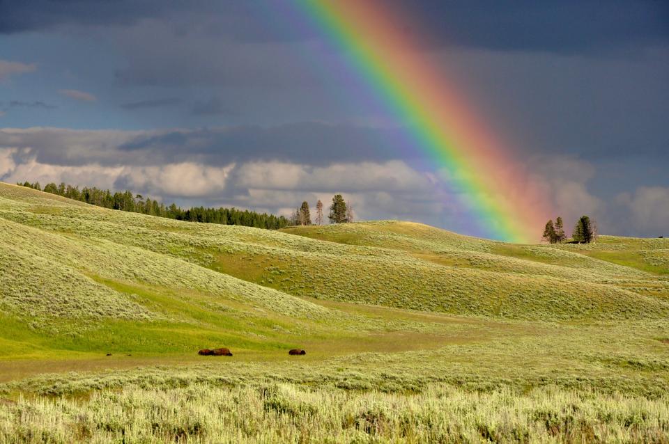 Nature Landscape
