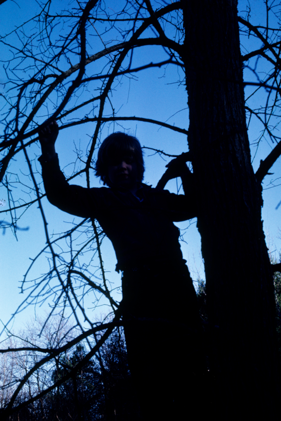 Child Tree