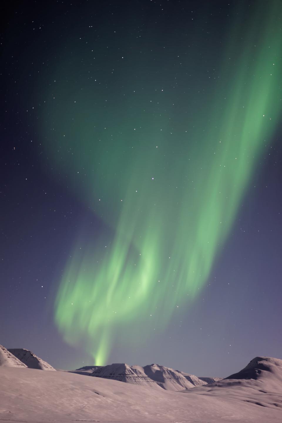 Aurora Green