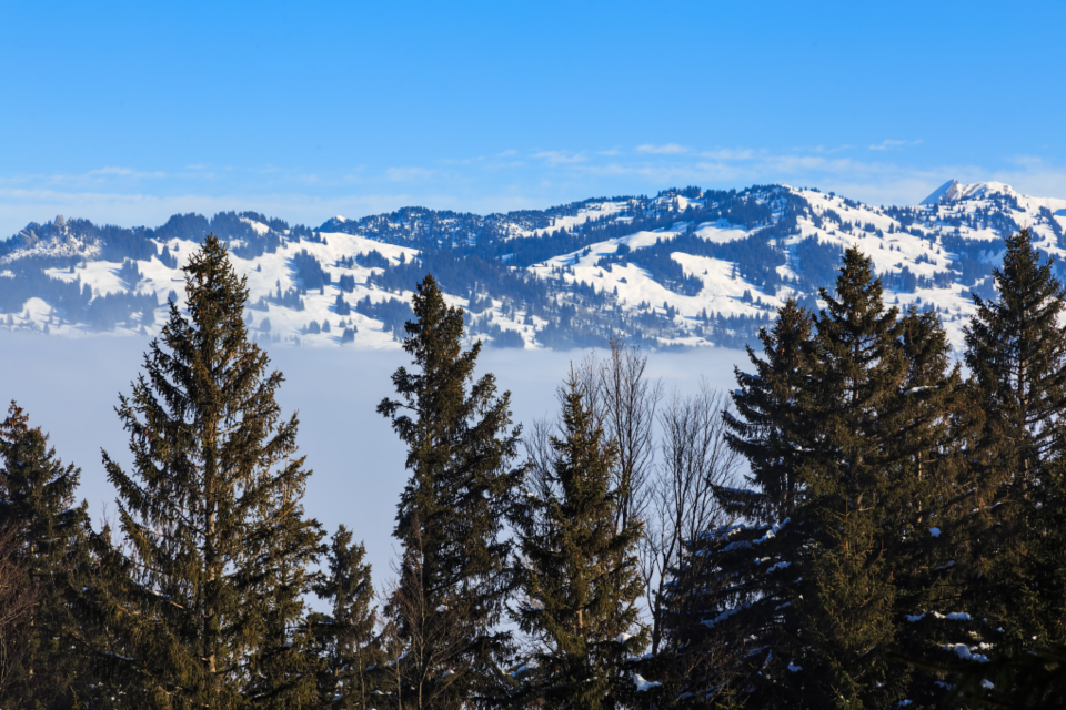 Switzerland Alps