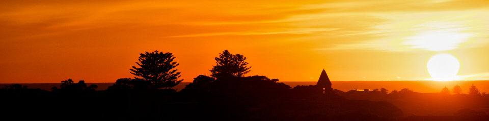 Sunset Trees