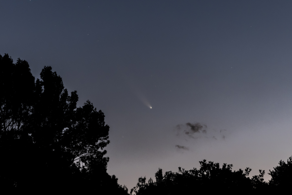 Night Starry