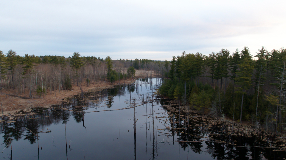 River Landscape