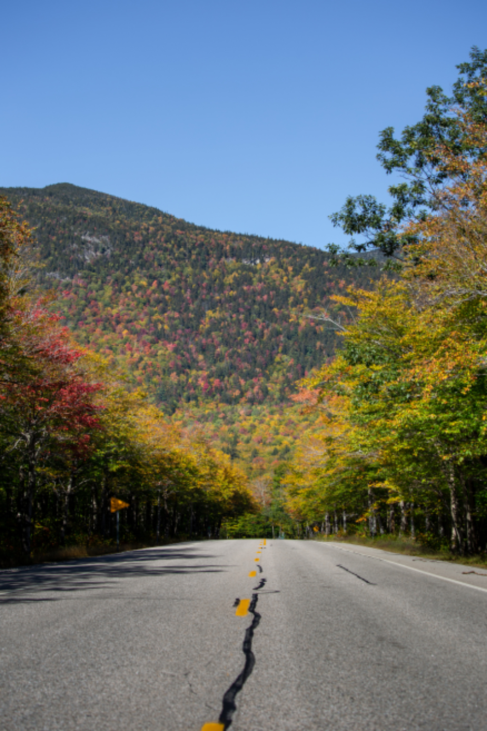 Autumn Foliage