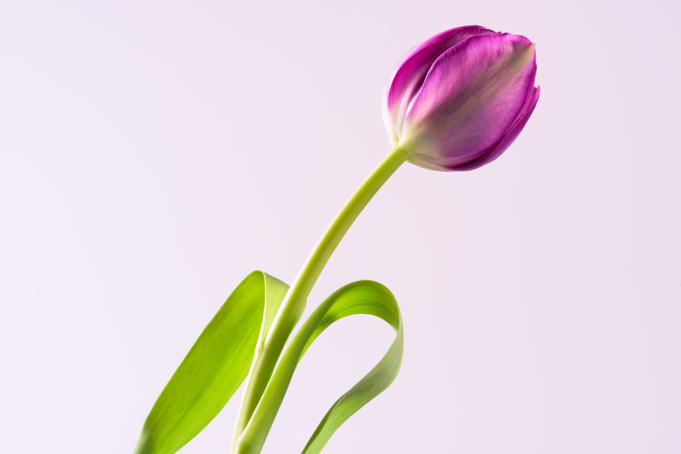 Pretty Isolated