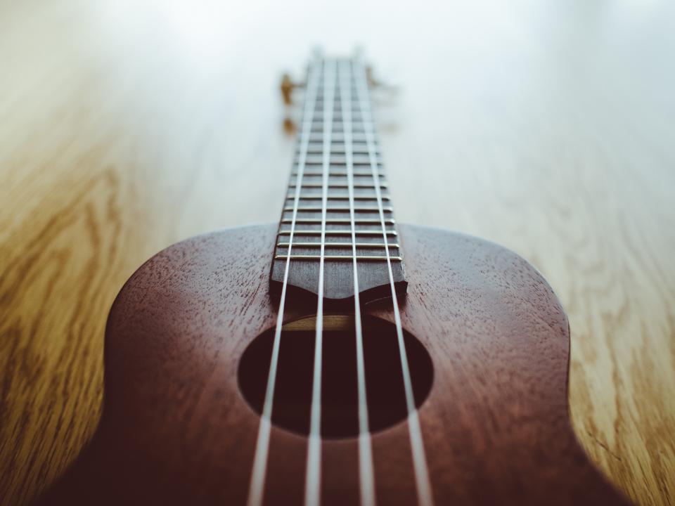 Ukulele Music