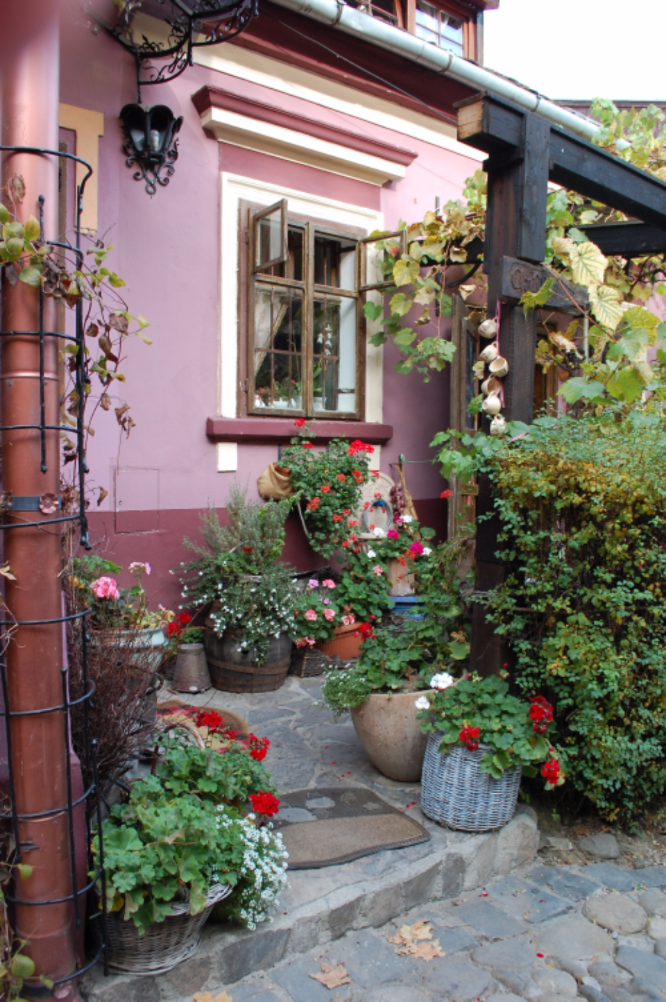 House Flower