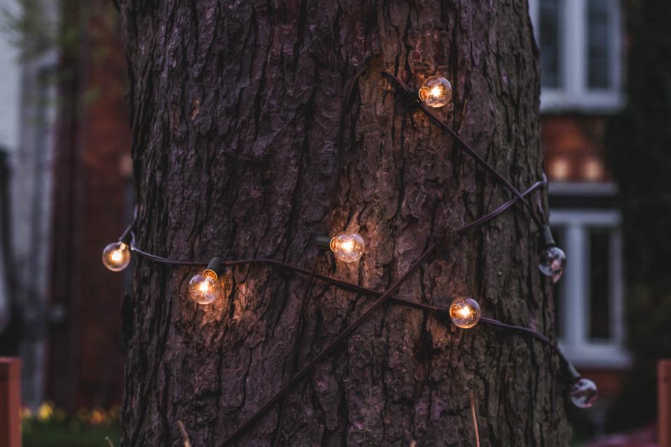Christmas Lights