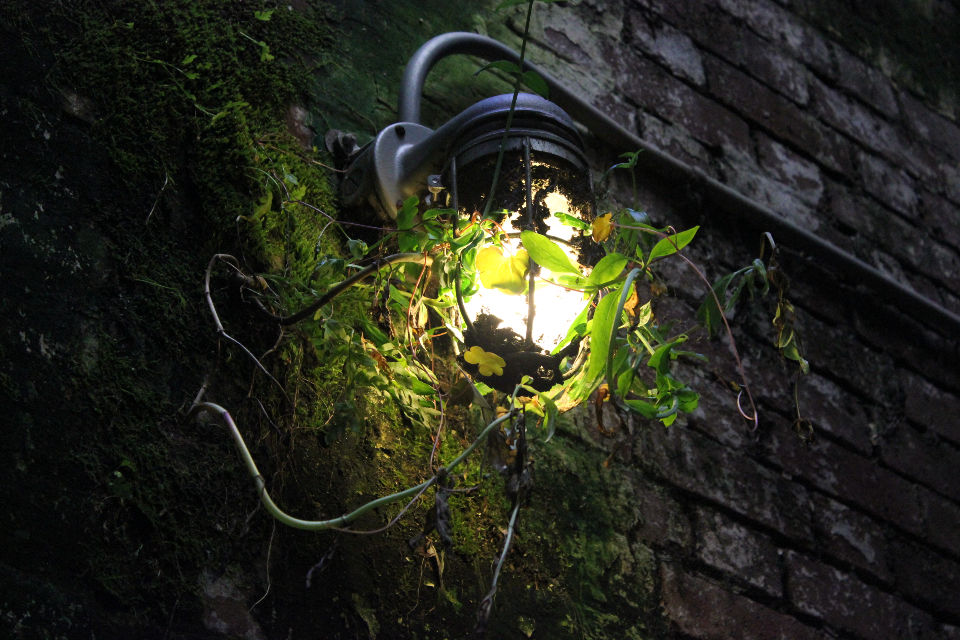 Exterior Light