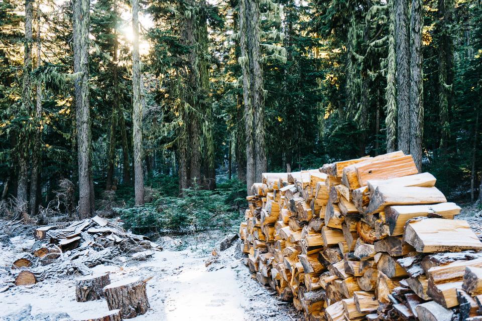 Wood Logs