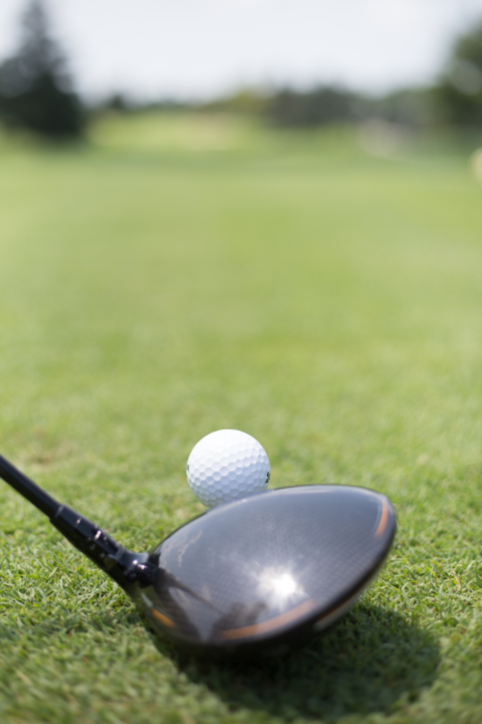 Golf Sport