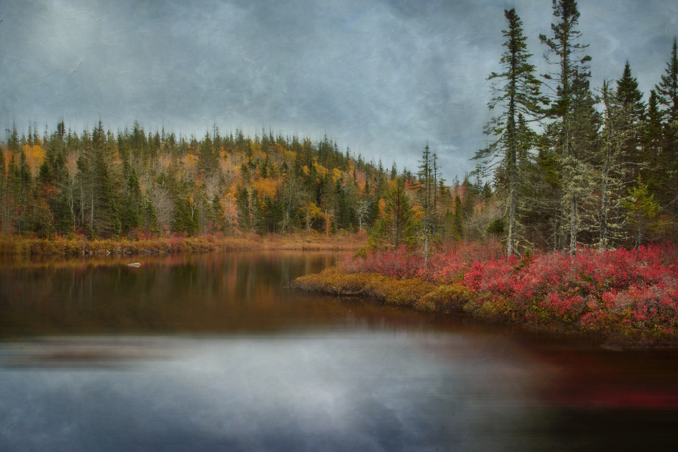 Autumn Lake