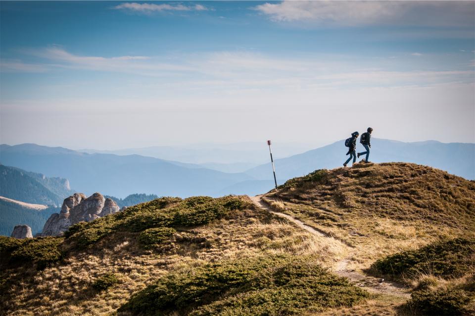 Hiking Hikers