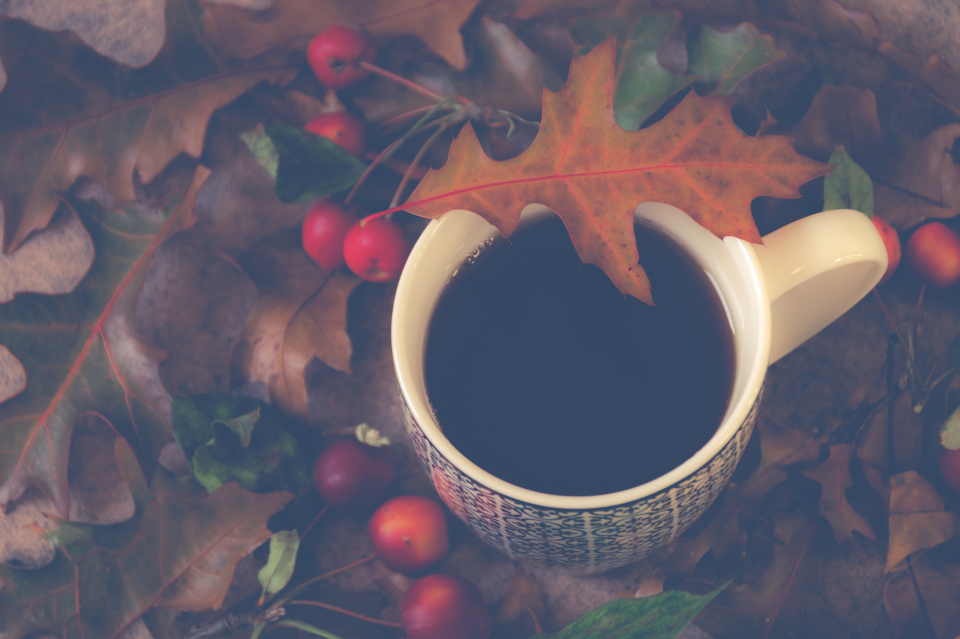 Seasonal Atumn