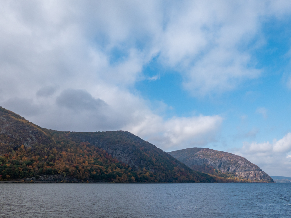 Shore Landscape