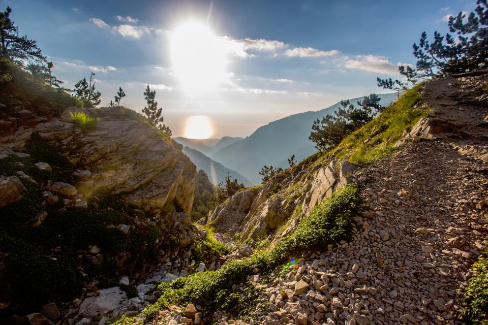 Nature Landscape