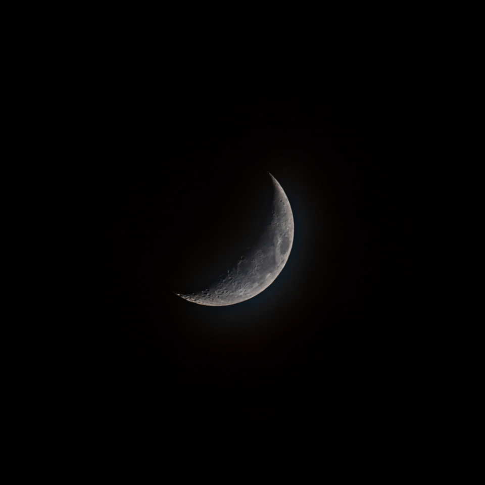 Moon Night