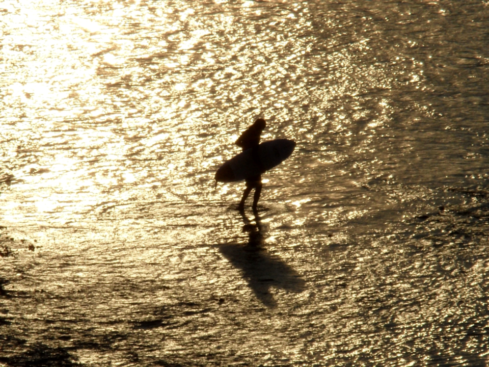 Surfer Bali