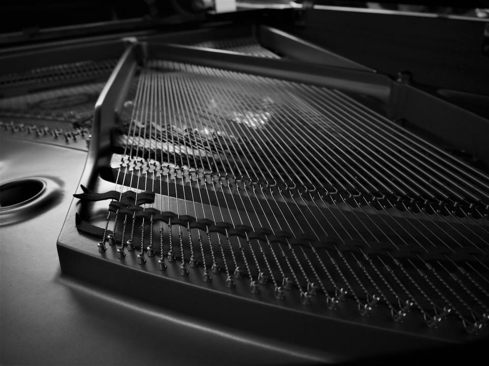 Monochrome Black And White