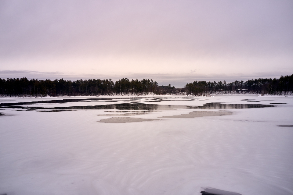 Frozen Lake