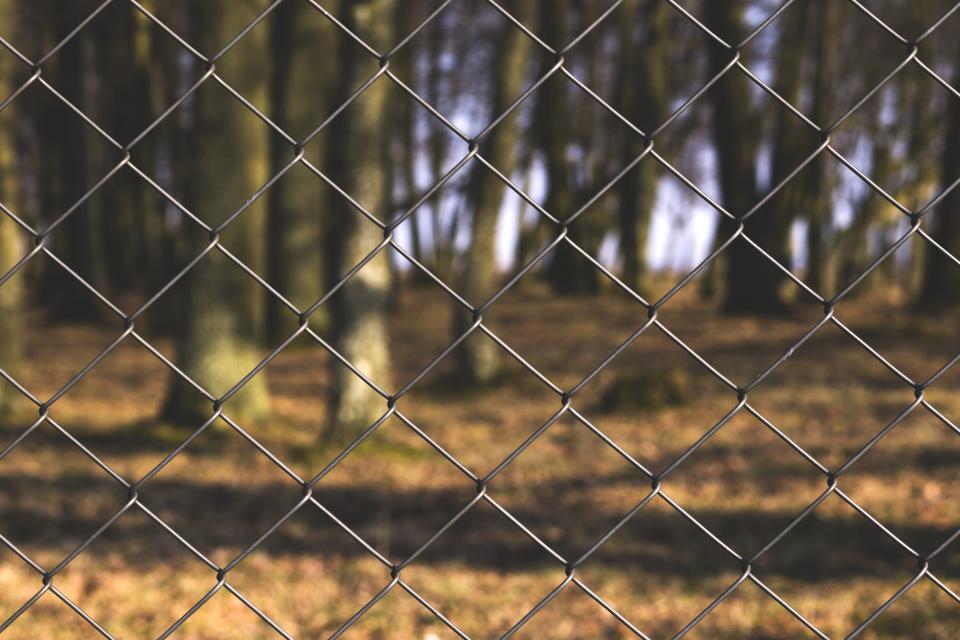 Chainlink Fence