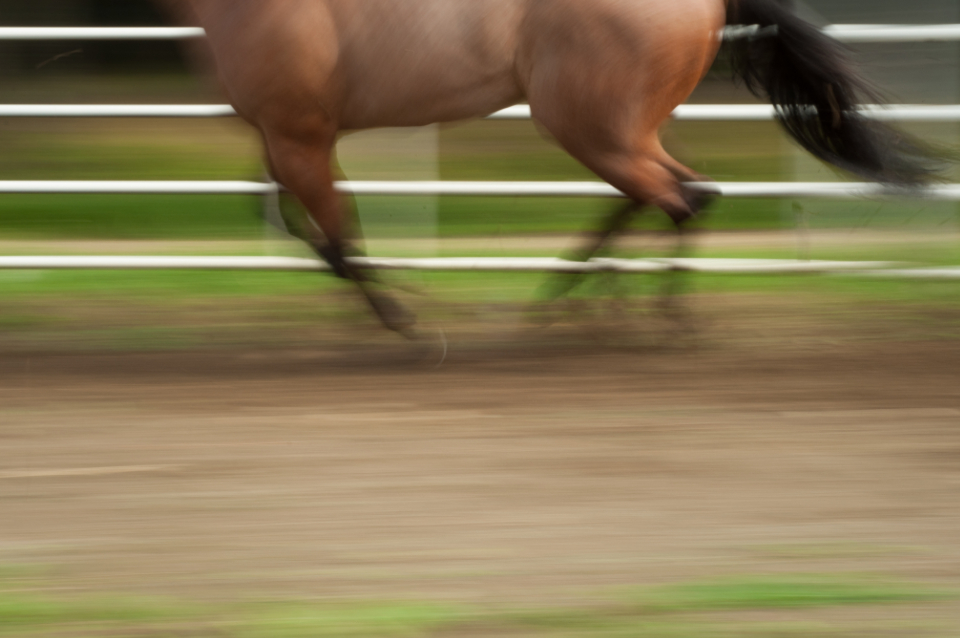 Running Horse