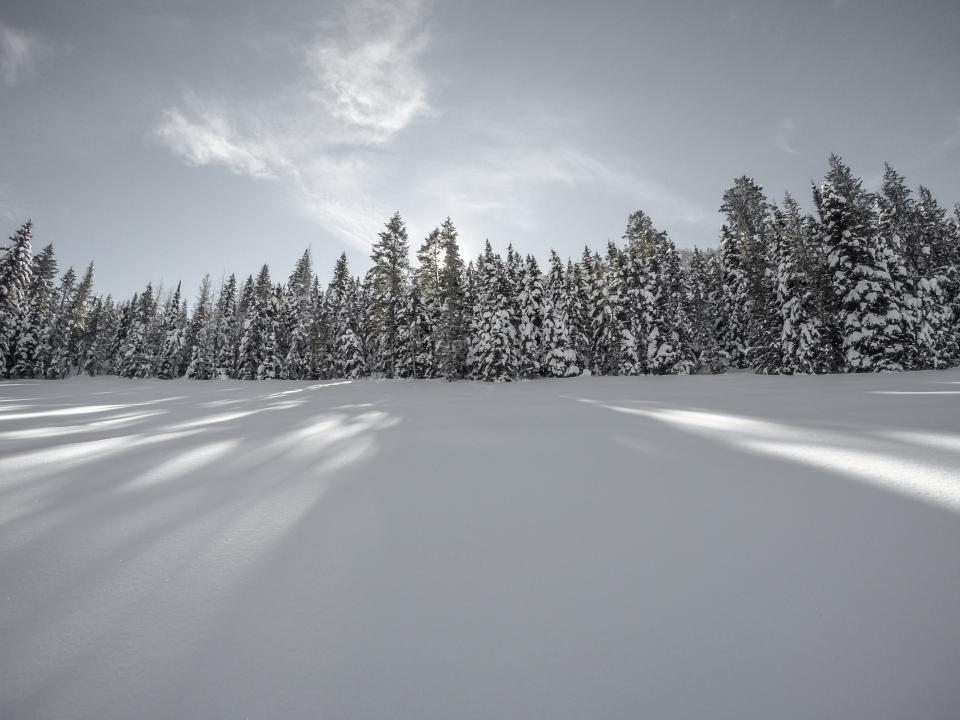 Snow Winter