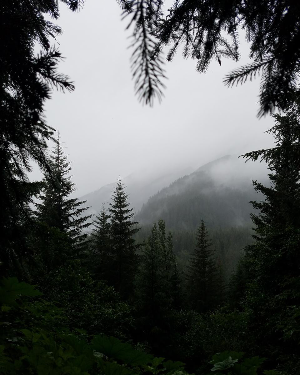 Mountain Highland