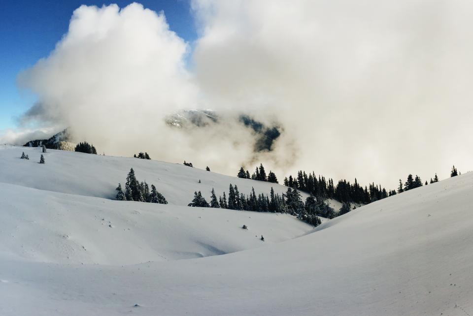 Mountain Highland
