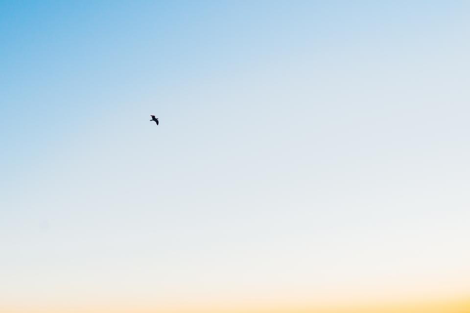 Blue Sky