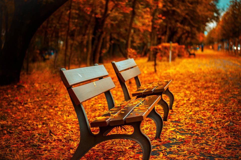 Autumn Fall