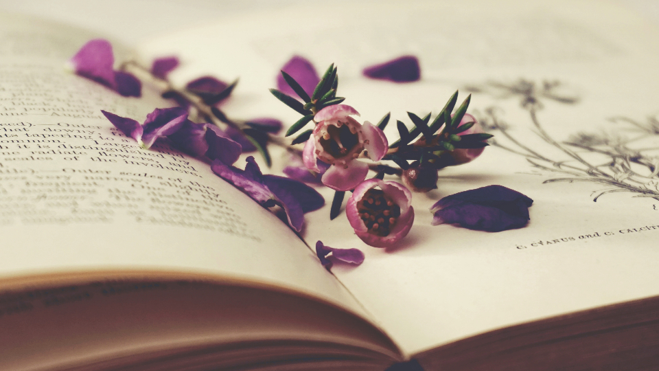 Book Page
